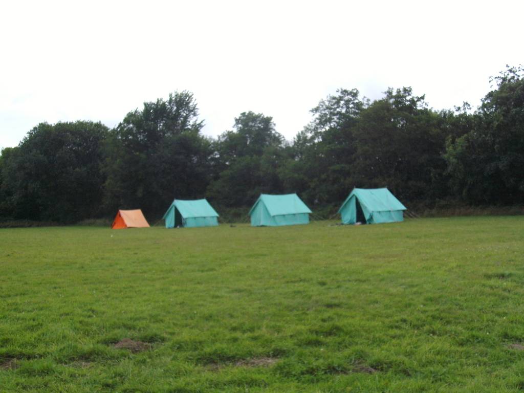 Scout Summer Camp, 2015 257