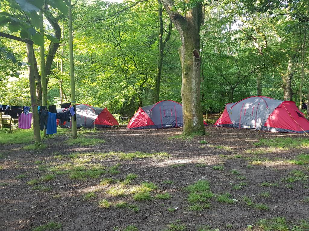 Scout Summer Camp, 2019 278