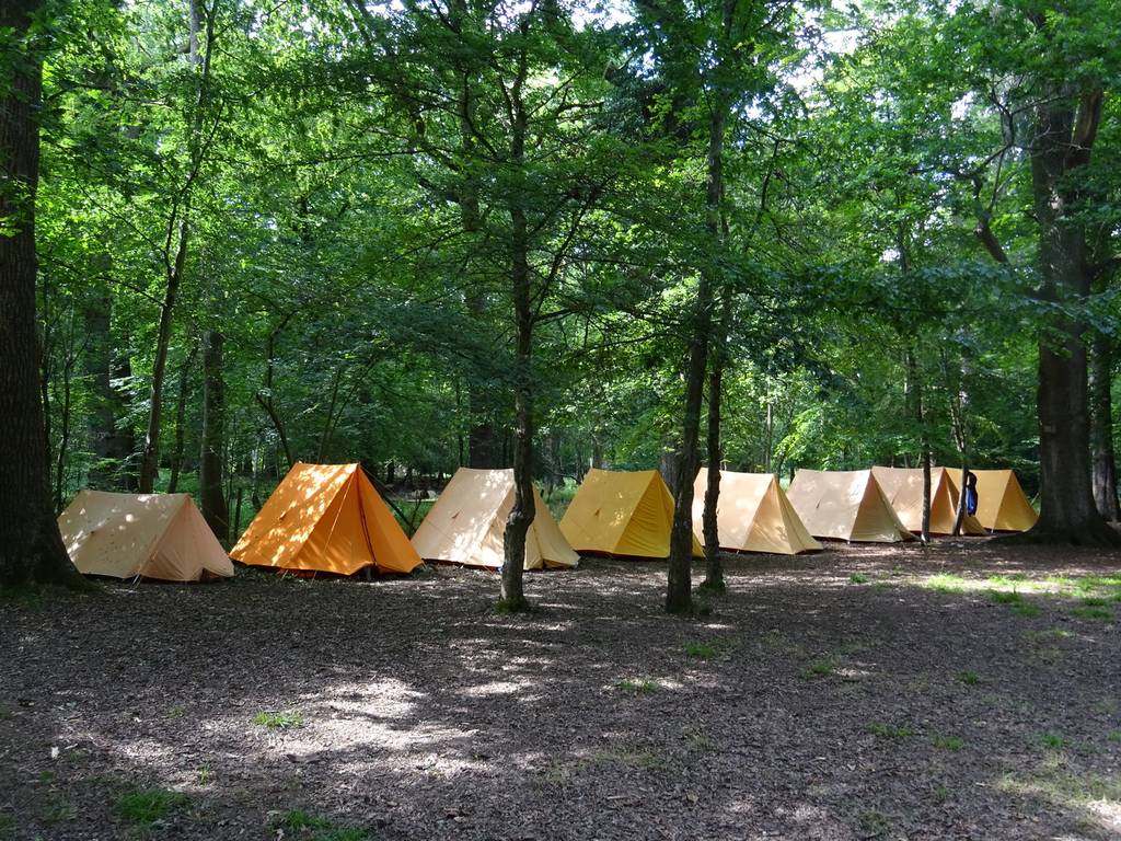 Scout Summer Camp, 2019 371