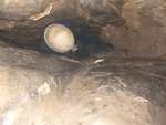 Explorer Scout Caving, March 2015 14