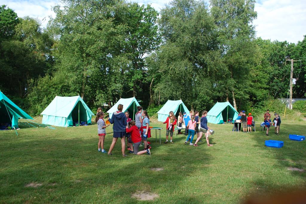 Cub Camp 2017 5