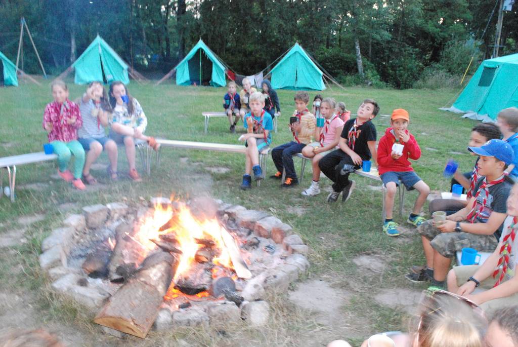 Cub Camp 2017 219