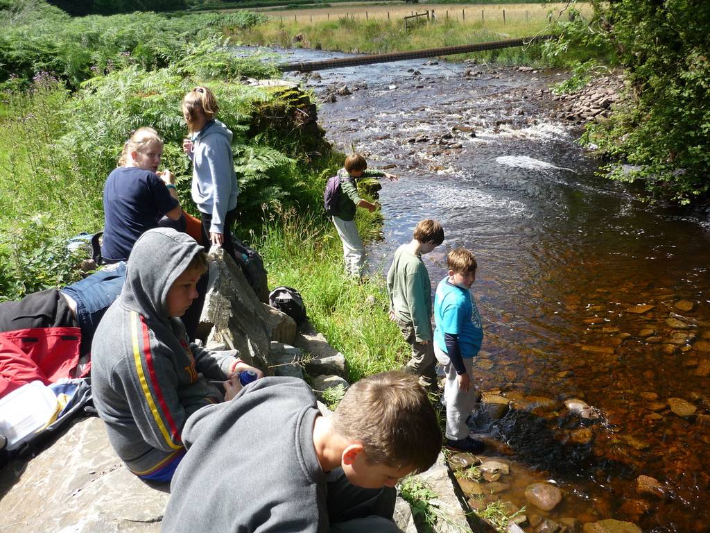 Scout Summer Camp, 2015 168