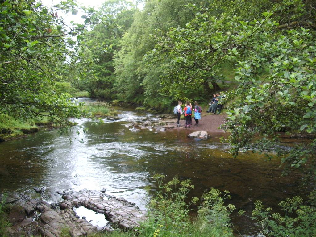 Scout Summer Camp, 2015 314