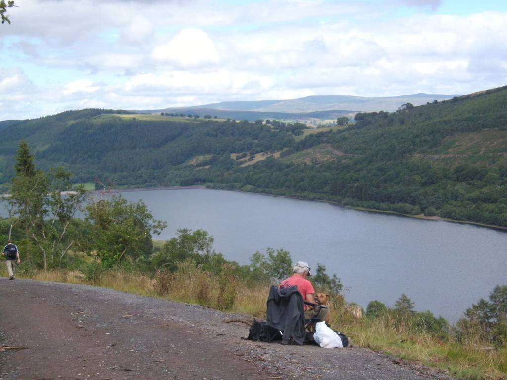 Scout Summer Camp, 2015 326