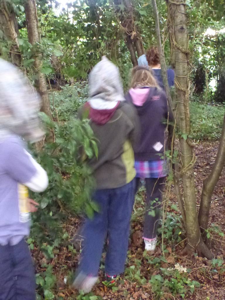 Scout Summer Camp, 2012 756