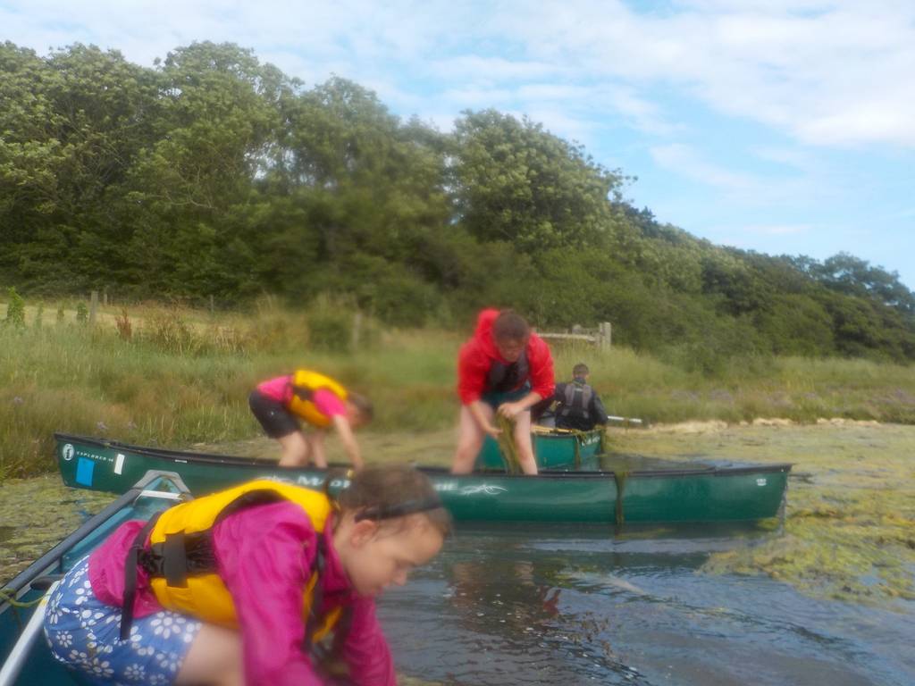 Scout Summer Camp, 2016 259