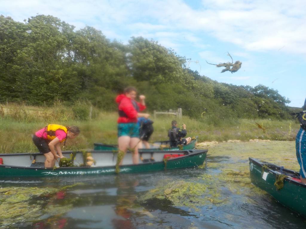 Scout Summer Camp, 2016 260