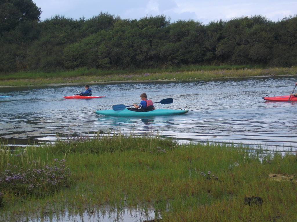 Scout Summer Camp, 2016 344