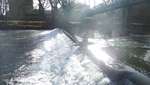 Stour Kayak Feb 2015 32
