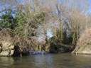 Stour Kayak Feb 2015 16