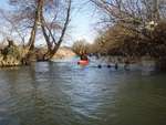 Stour Kayak Feb 2015 19