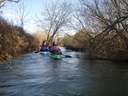 Stour Kayak Feb 2015 3