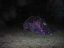 Survival Camp 2014 33