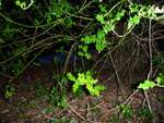 Survival Camp 2014 21