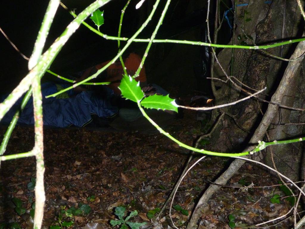 Survival Camp 2014 27