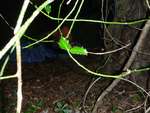 Survival Camp 2014 27
