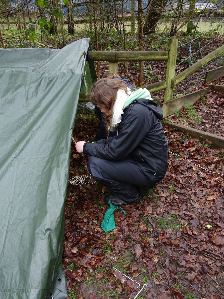 Survival Camp 2015 16