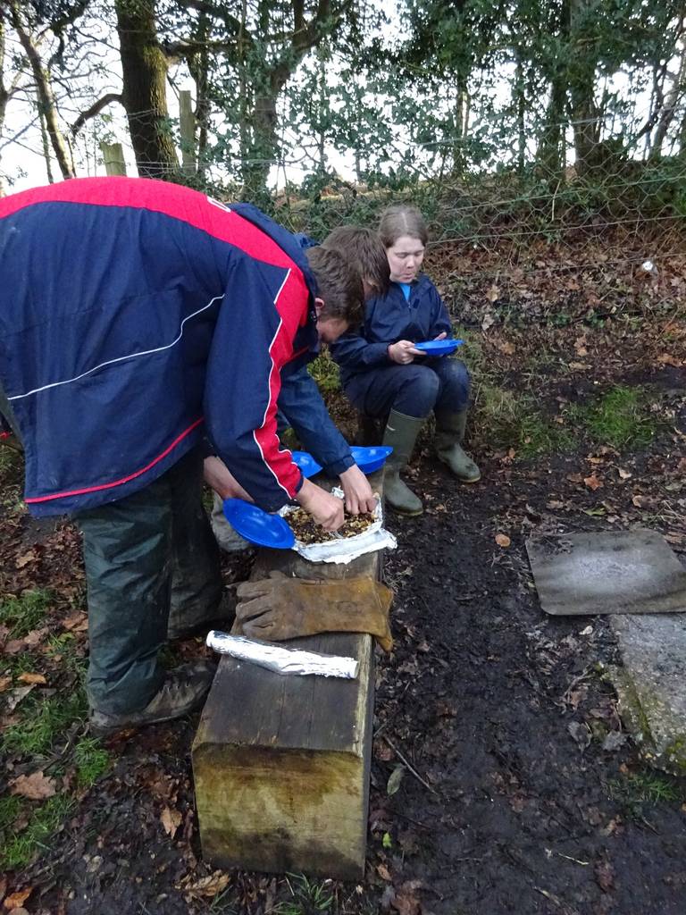 Survival Camp 2015 15