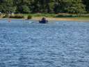 TestwoodRegatta2010 7