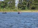 TestwoodRegatta2010 11