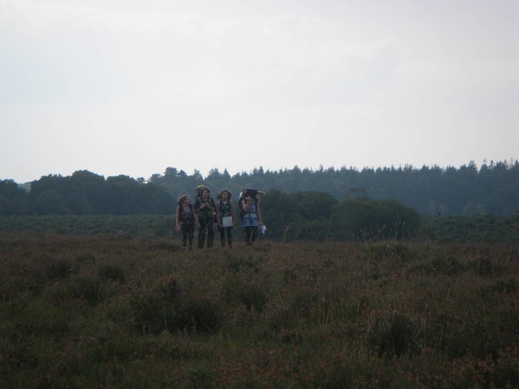 D. of E. Bronze, Sept 2014 13