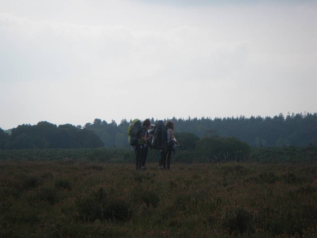 D. of E. Bronze, Sept 2014 15