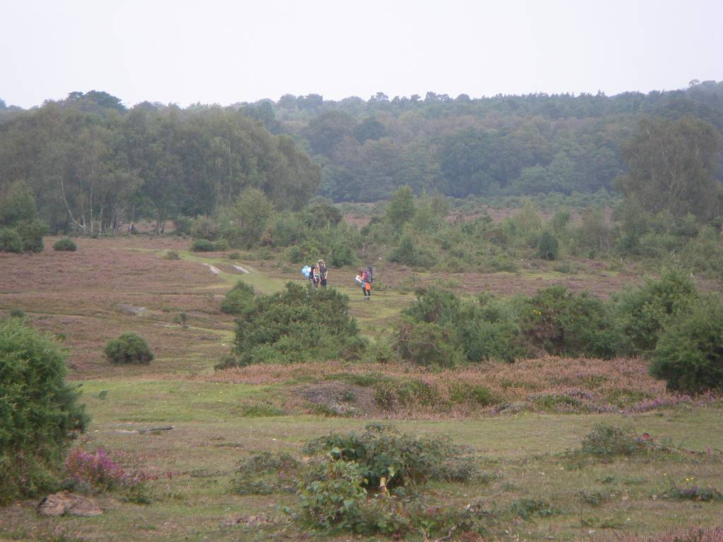 D. of E. Bronze, Sept 2014 9