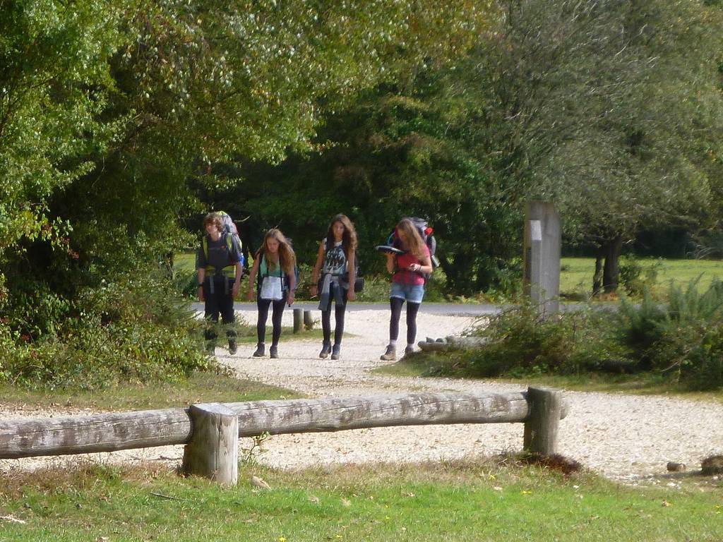 D. of E. Bronze, Sept 2014 7