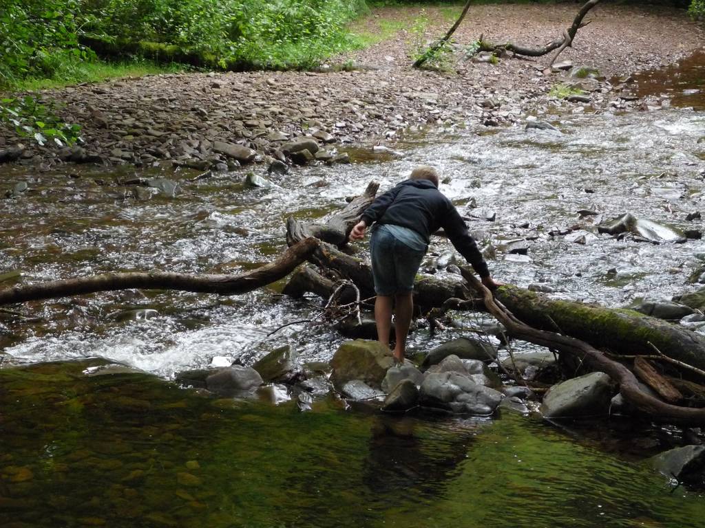 Scout Summer Camp, 2017 373