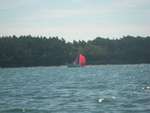 Scout Summer Camp, 2014 203