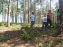 Scout Summer Camp, 2014 126