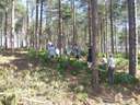 Scout Summer Camp, 2014 167