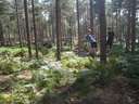 Scout Summer Camp, 2014 83