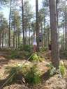 Scout Summer Camp, 2014 98