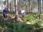 Scout Summer Camp, 2014 169