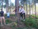 Scout Summer Camp, 2014 31