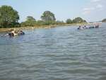 Scout Summer Camp, 2014 93