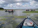 Scout Summer Camp, 2014 278