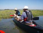 Scout Summer Camp, 2014 248