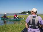 Scout Summer Camp, 2014 212
