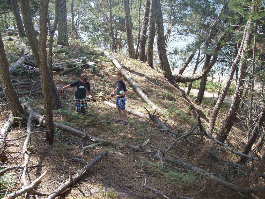 Scout Summer Camp, 2014 264