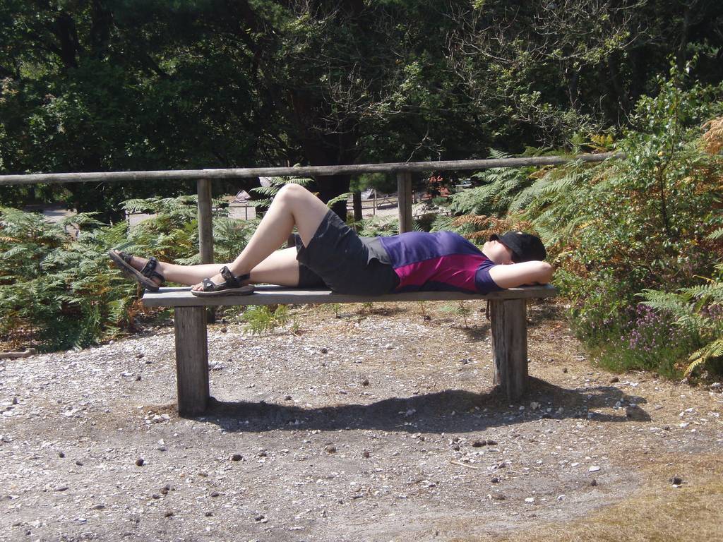 Scout Summer Camp, 2014 259