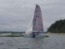 Scout Summer Camp, 2014 242