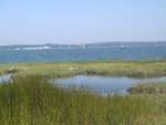 Scout Summer Camp, 2014 337