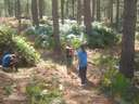 Scout Summer Camp, 2014 306