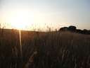 Scout Summer Camp, 2014 323