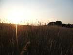 Scout Summer Camp, 2014 323