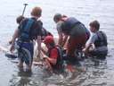 Scout Summer Camp, 2014 308