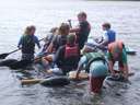 Scout Summer Camp, 2014 295